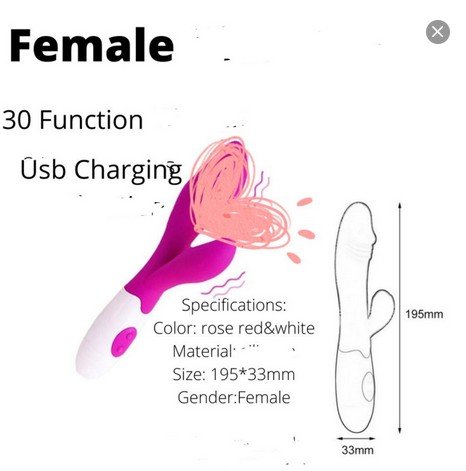 Toys Wanita Stick - Alat Getar Wanita - Female VibeRose